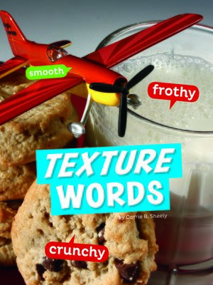 cover image of Texture Words